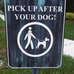 pick up after your dog